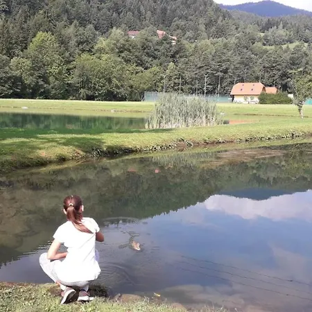 Appartement Apartma Julija Luče