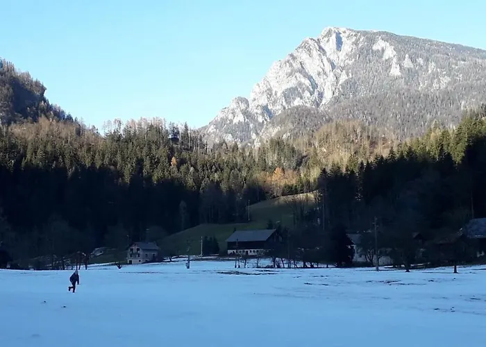 Apartma Julija * Luce