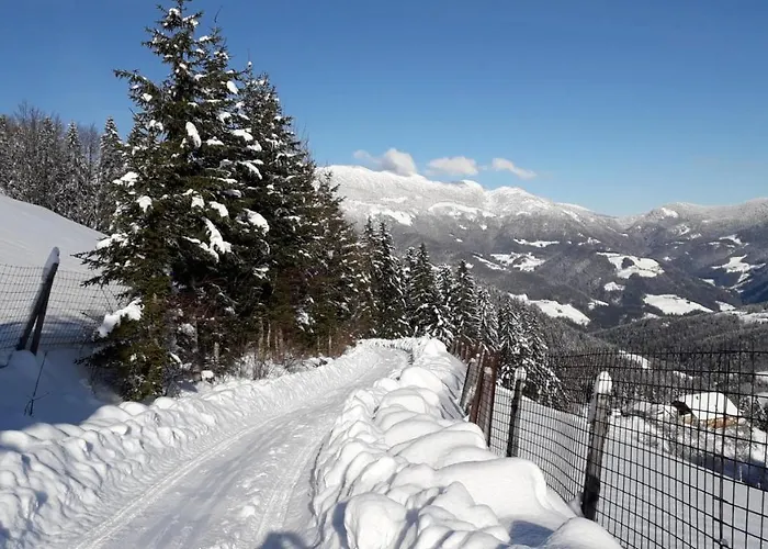 Apartma Apartma Julija *