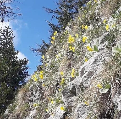 Apartma Apartma Julija